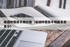 The price of a glass jade bracelet (what is the most expensive glass jade bracelet)